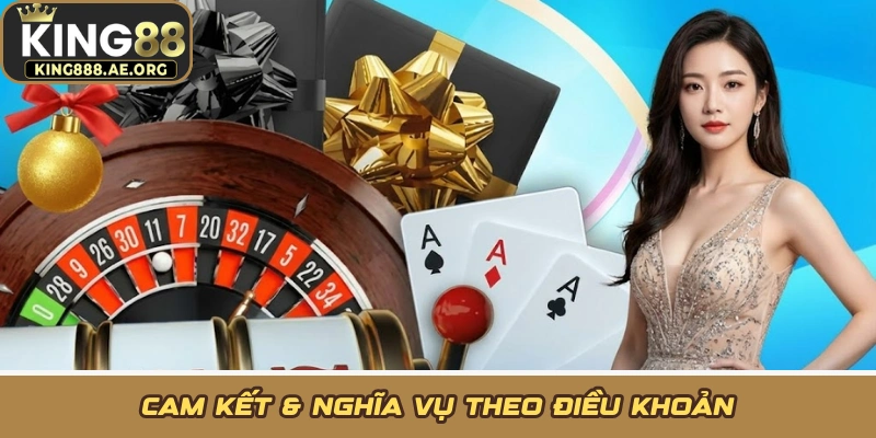 Cam kết & nghĩa vụ theo điều khoản Cam kết & nghĩa vụ theo điều khoản