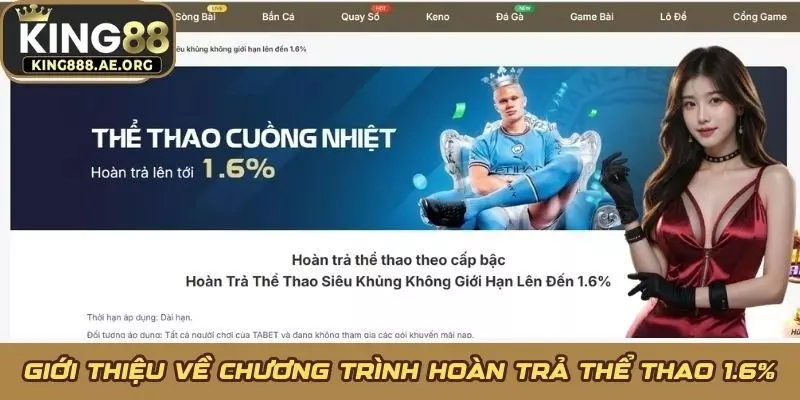 Giới thiệu về chương trình hoàn trả thể thao 1.6% Giới thiệu về chương trình hoàn trả thể thao 1.6%