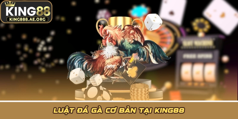 Luật đá gà cơ bản tại KING88 Luật đá gà cơ bản tại KING88